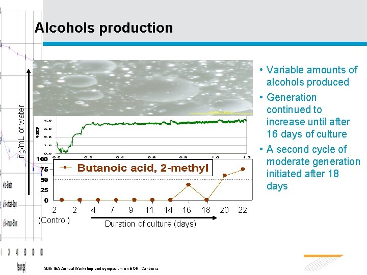 Alcohols production ng/m. L of water • Variable amounts of alcohols produced • Generation