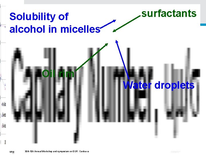 Solubility of alcohol in micelles Oil rim 30 th IEA Annual Workshop and symposium