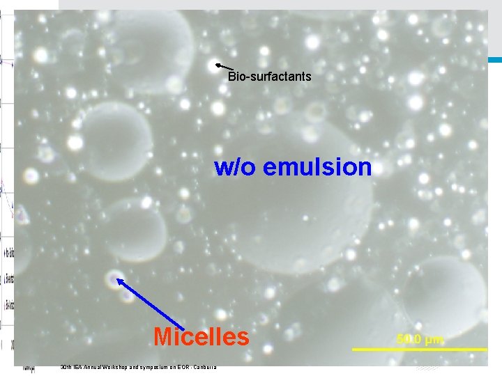 Bio-surfactants w/o emulsion Micelles 30 th IEA Annual Workshop and symposium on EOR -Canberra