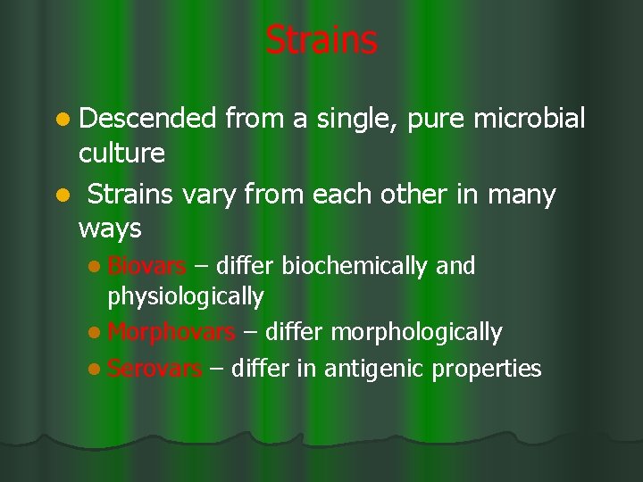 Strains l Descended from a single, pure microbial culture l Strains vary from each