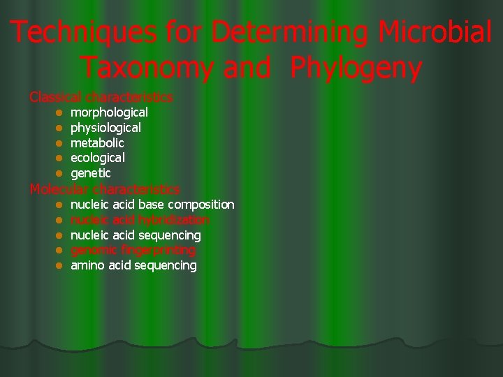 Techniques for Determining Microbial Taxonomy and Phylogeny Classical characteristics l l l morphological physiological