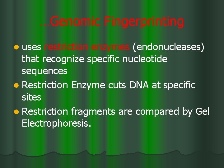 …Genomic Fingerprinting l uses restriction enzymes (endonucleases) that recognize specific nucleotide sequences l Restriction