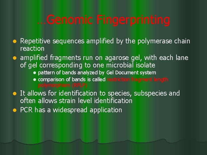 …Genomic Fingerprinting Repetitive sequences amplified by the polymerase chain reaction l amplified fragments run