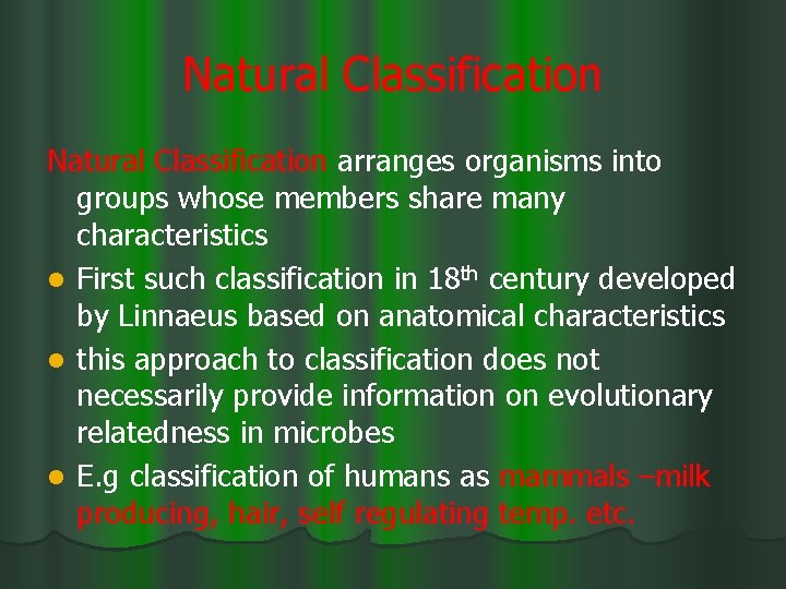 Natural Classification arranges organisms into groups whose members share many characteristics l First such