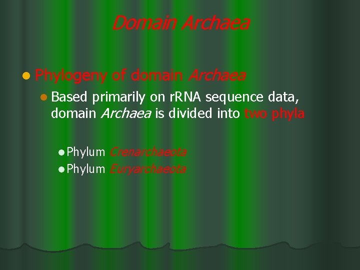 Domain Archaea l Phylogeny of domain Archaea l Based primarily on r. RNA sequence