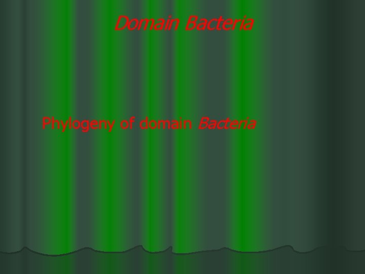 Domain Bacteria Phylogeny of domain Bacteria 