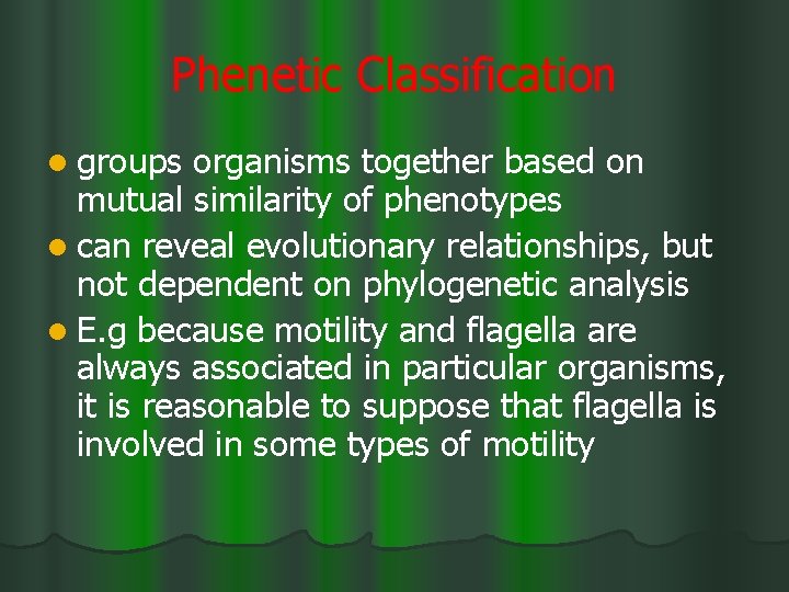 Phenetic Classification l groups organisms together based on mutual similarity of phenotypes l can