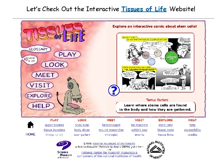 Let’s Check Out the Interactive Tissues of Life Website! 