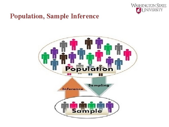 Population, Sample Inference 