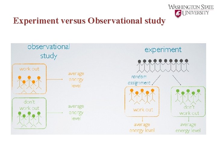 Experiment versus Observational study 