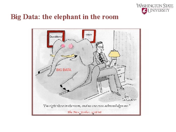 Big Data: the elephant in the room 