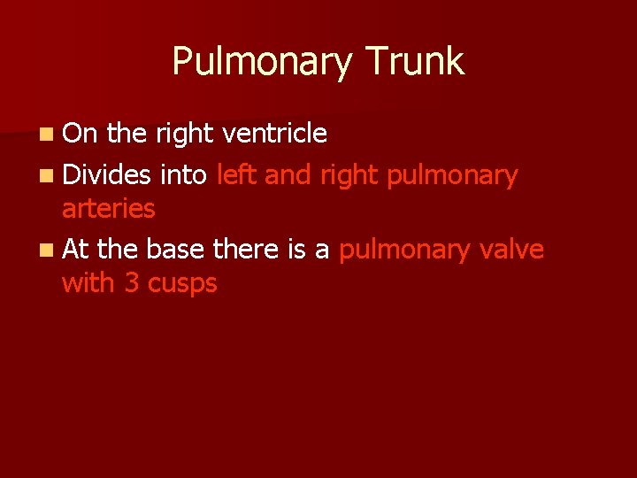 Pulmonary Trunk n On the right ventricle n Divides into left and right pulmonary