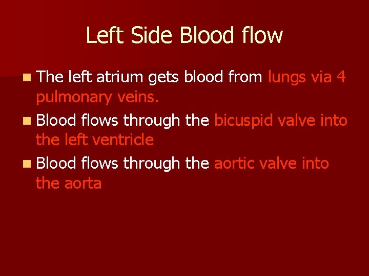 Left Side Blood flow n The left atrium gets blood from lungs via 4