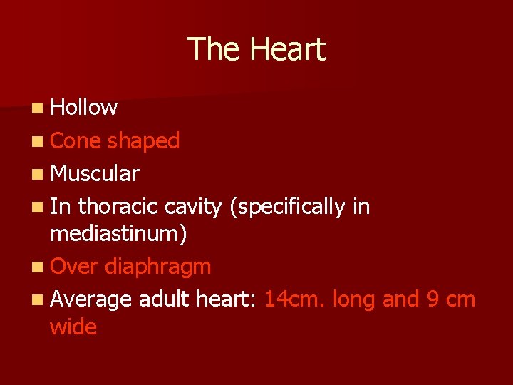 The Heart n Hollow n Cone shaped n Muscular n In thoracic cavity (specifically