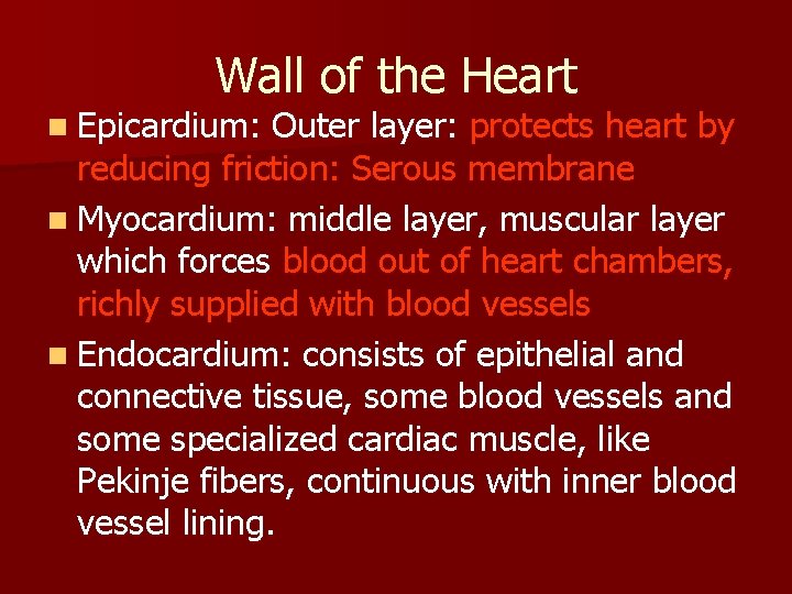 Wall of the Heart n Epicardium: Outer layer: protects heart by reducing friction: Serous
