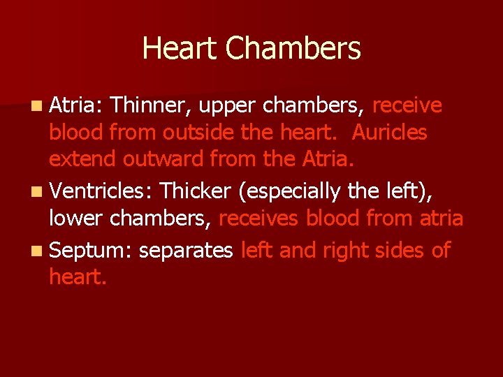 Heart Chambers n Atria: Thinner, upper chambers, receive blood from outside the heart. Auricles