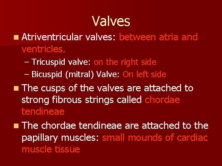 Valves n Atriventricular ventricles. valves: between atria and – Tricuspid valve: on the right
