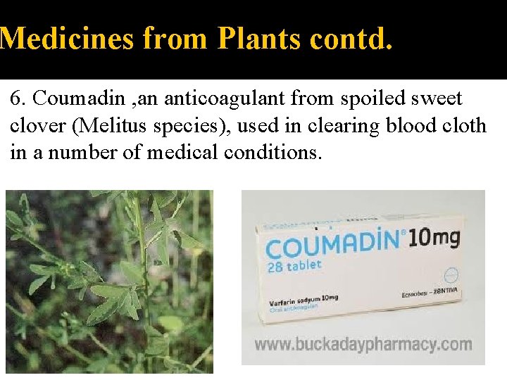 Medicines from Plants contd. 6. Coumadin , an anticoagulant from spoiled sweet clover (Melitus