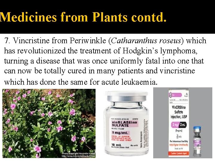 Medicines from Plants contd. 7. Vincristine from Periwinkle (Catharanthus roseus) which has revolutionized the