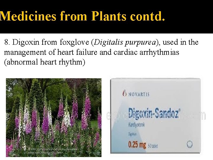 Medicines from Plants contd. 8. Digoxin from foxglove (Digitalis purpurea), used in the management