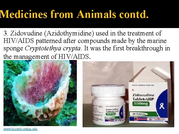 Medicines from Animals contd. 3. Zidovudine (Azidothymidine) used in the treatment of HIV/AIDS patterned