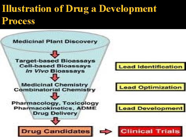 Illustration of Drug a Development Process 