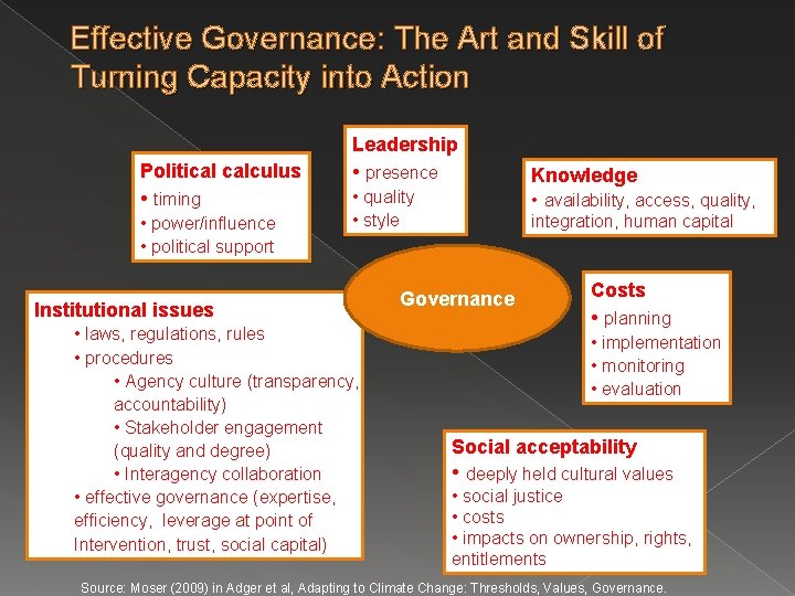 Effective Governance: The Art and Skill of Turning Capacity into Action Leadership Political calculus