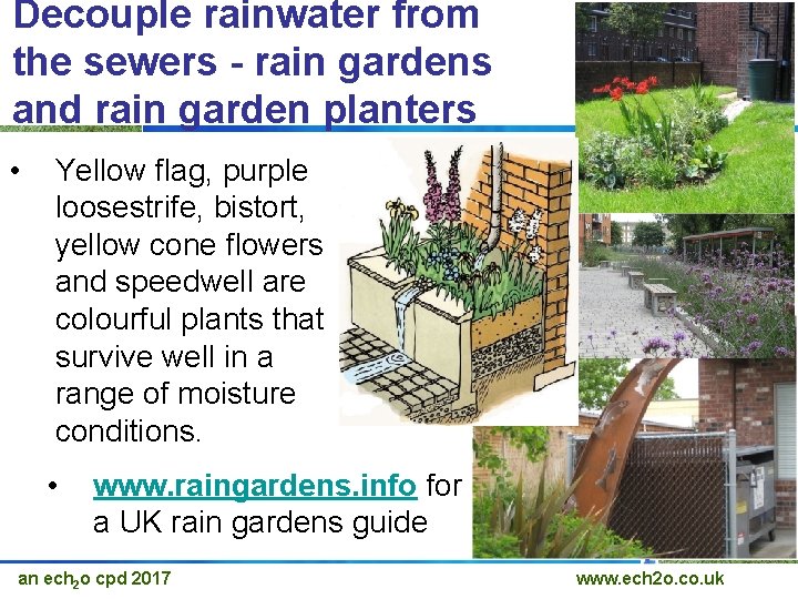 Decouple rainwater from the sewers - rain gardens and rain garden planters • Yellow