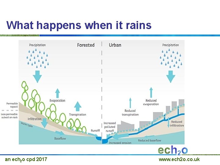 What happens when it rains an ech 2 o cpd 2017 www. ech 2