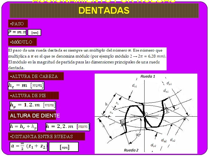 ACCIONAMIENTO POR RUEDAS DENTADAS • PASO [mm] • MÓDULO • ALTURA DE CABEZA •