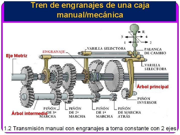 Tren de engranajes de una caja manual/mecánica Eje Motriz Árbol principal Árbol intermedio 