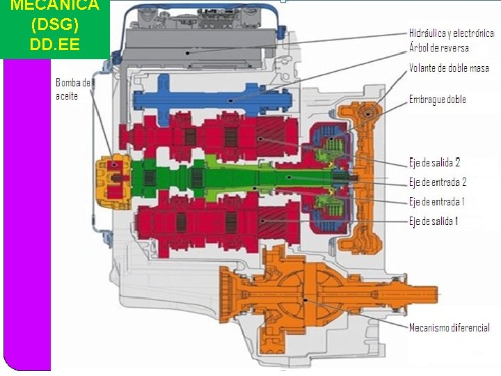 MECÁNICA (DSG) DD. EE 