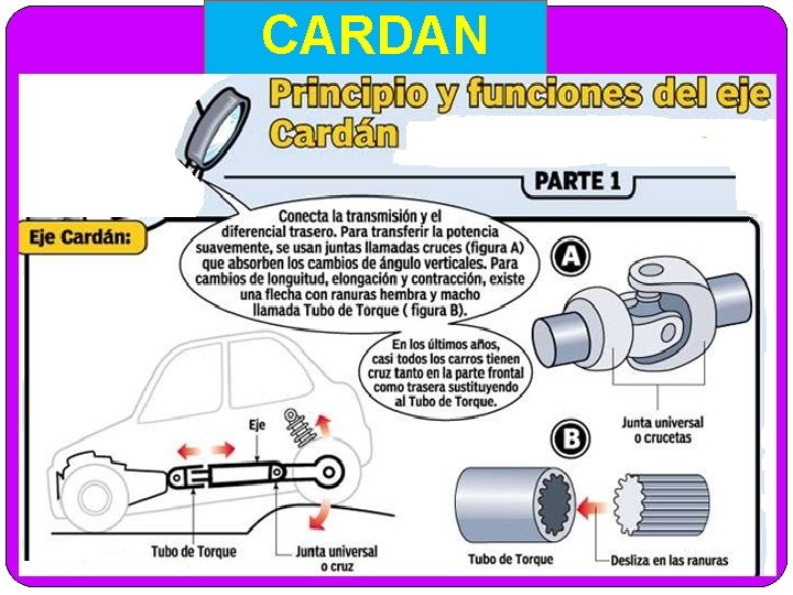 CARDAN 