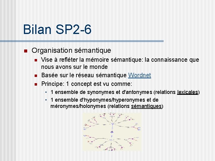 Bilan SP 2 -6 n Organisation sémantique n n n Vise à refléter la