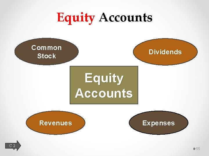 Equity Accounts Common Stock Dividends Equity Accounts Revenues C 2 Expenses 55 