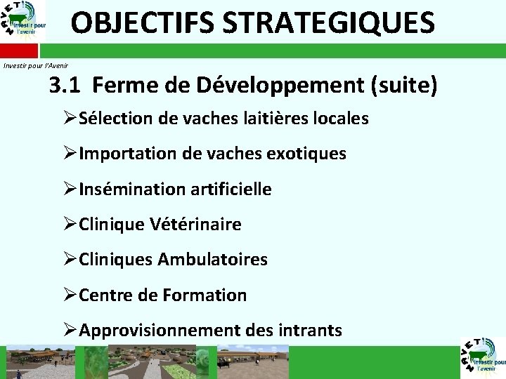 OBJECTIFS STRATEGIQUES Investir pour l’Avenir 3. 1 Ferme de Développement (suite) ØSélection de vaches