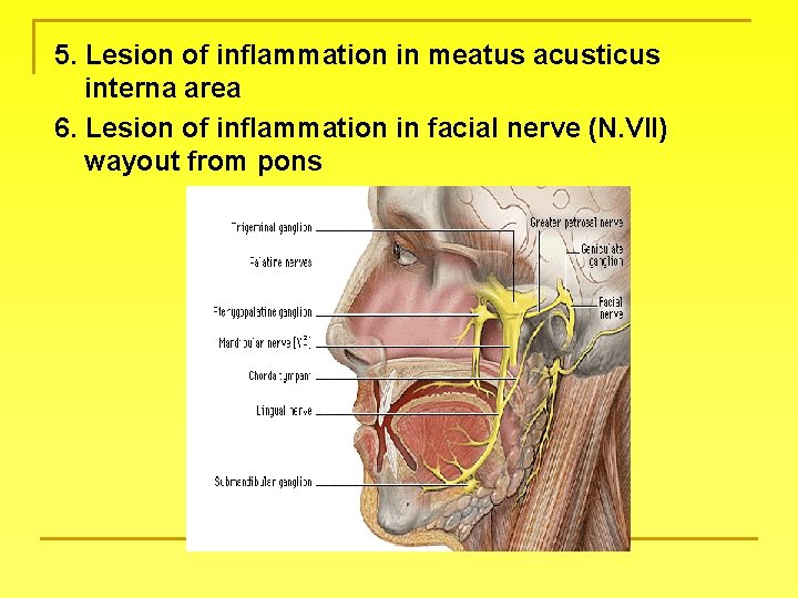 5. Lesion of inflammation in meatus acusticus interna area 6. Lesion of inflammation in