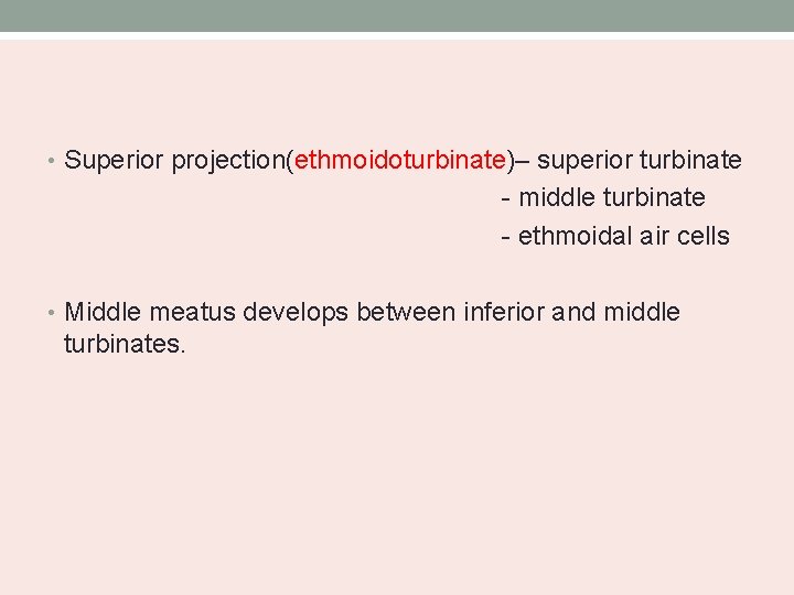  • Superior projection(ethmoidoturbinate)– superior turbinate - middle turbinate - ethmoidal air cells •