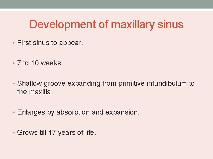 Development of maxillary sinus • First sinus to appear. • 7 to 10 weeks.