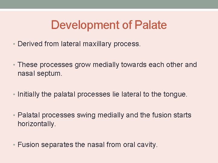 Development of Palate • Derived from lateral maxillary process. • These processes grow medially