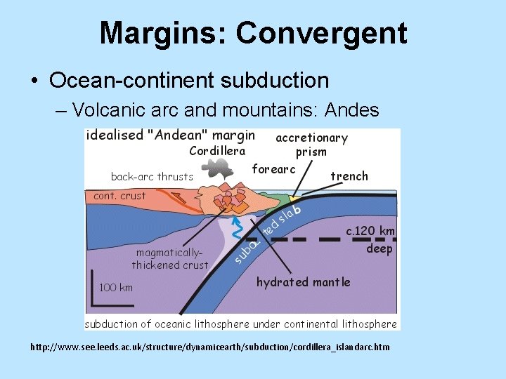 Margins: Convergent • Ocean-continent subduction – Volcanic arc and mountains: Andes http: //www. see.