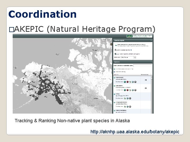 Coordination �AKEPIC (Natural Heritage Program) Tracking & Ranking Non-native plant species in Alaska http:
