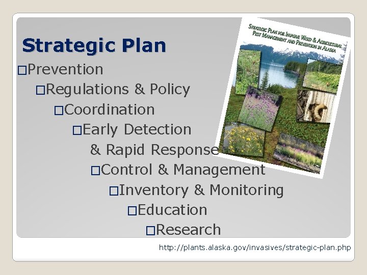 Strategic Plan �Prevention �Regulations & Policy �Coordination �Early Detection & Rapid Response �Control &