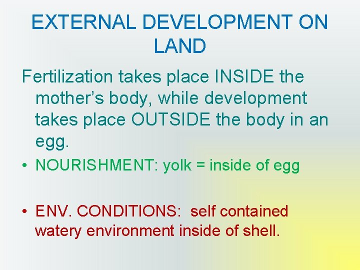 EXTERNAL DEVELOPMENT ON LAND Fertilization takes place INSIDE the mother’s body, while development takes