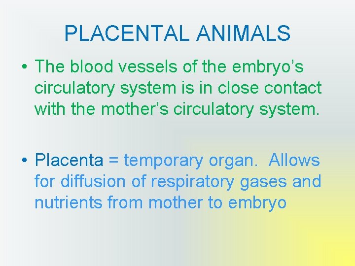 PLACENTAL ANIMALS • The blood vessels of the embryo’s circulatory system is in close