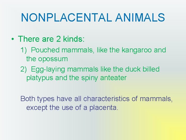 NONPLACENTAL ANIMALS • There are 2 kinds: 1) Pouched mammals, like the kangaroo and