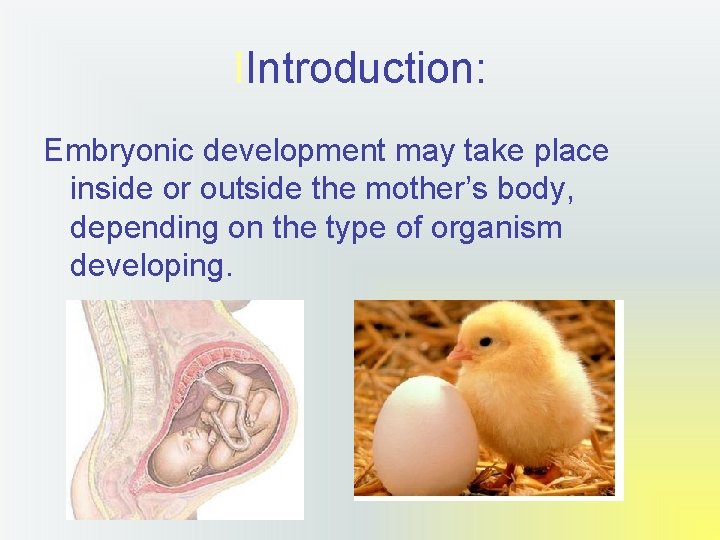 IIntroduction: Embryonic development may take place inside or outside the mother’s body, depending on