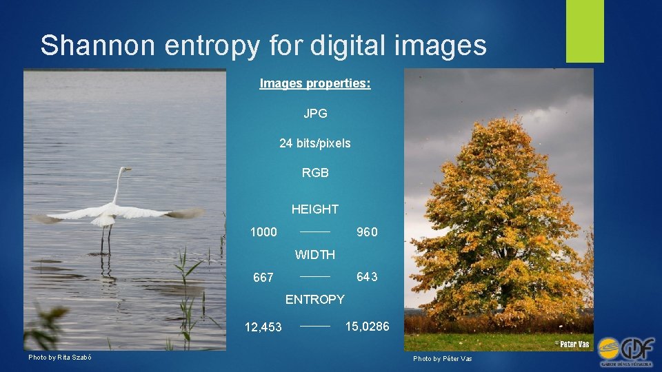Shannon entropy for digital images Images properties: JPG 24 bits/pixels RGB HEIGHT 1000 960
