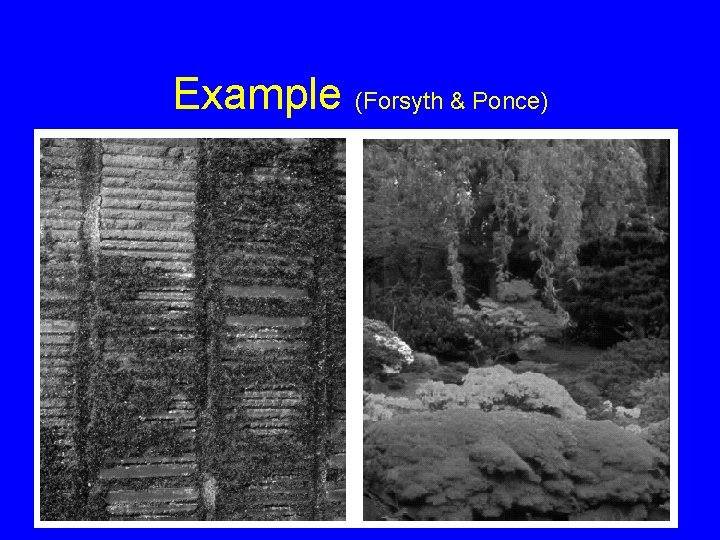 Example (Forsyth & Ponce) 