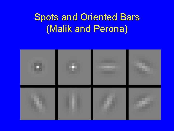 Spots and Oriented Bars (Malik and Perona) 